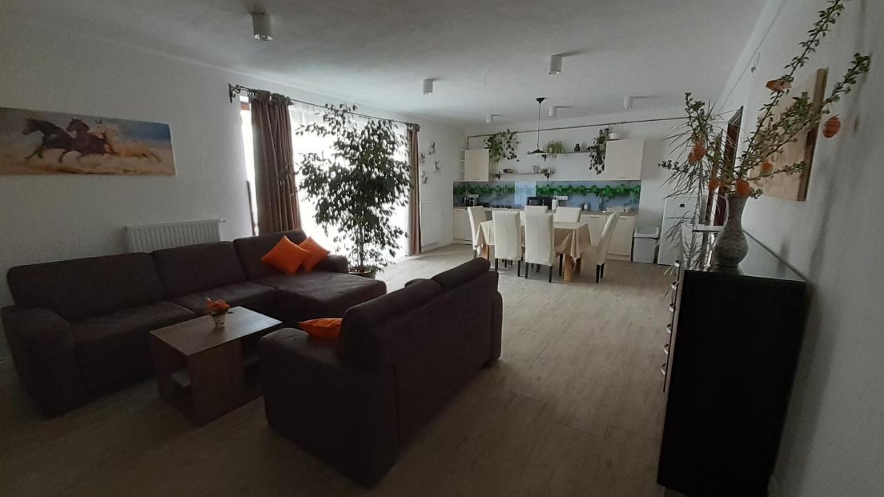 Bibic Apartman A Kapolnasnyek المظهر الخارجي الصورة